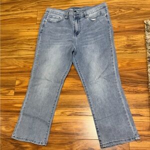 DG2 by Diane Gilman Light Blue Ankle Jeans